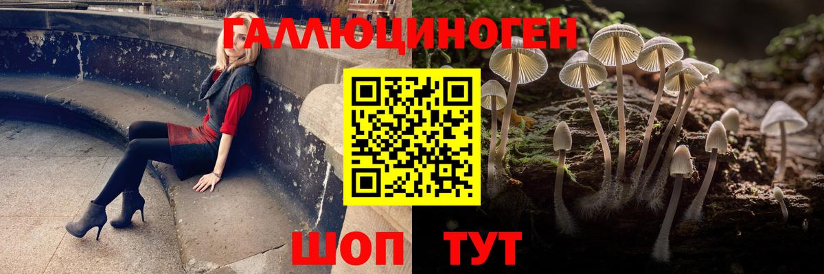 наркотики  Галлюциногенные грибы MAGIC MUSHROOMS  Вход с VPN  Томск 